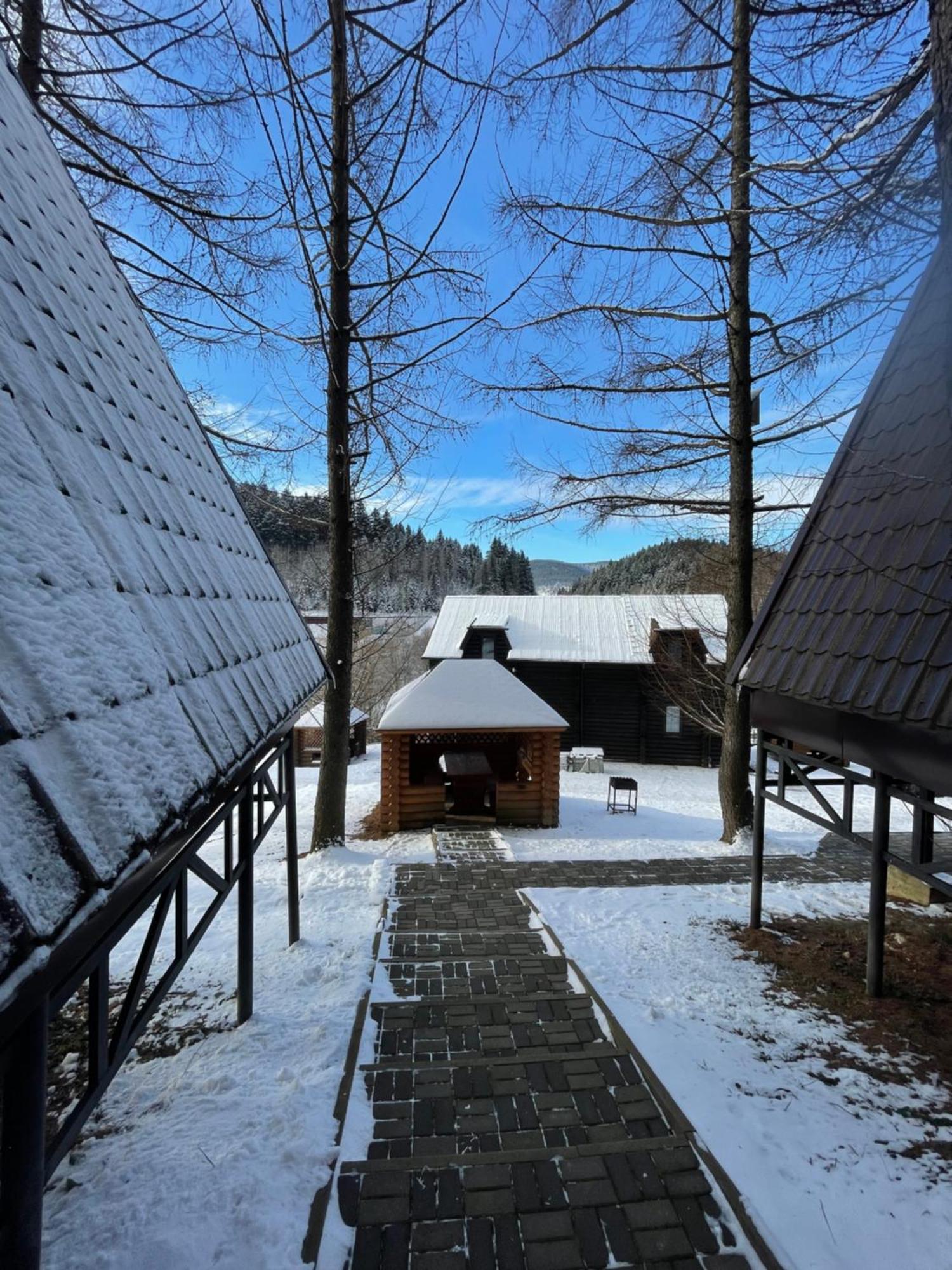 הוילה Rozluch Karpatskyy מראה חיצוני תמונה