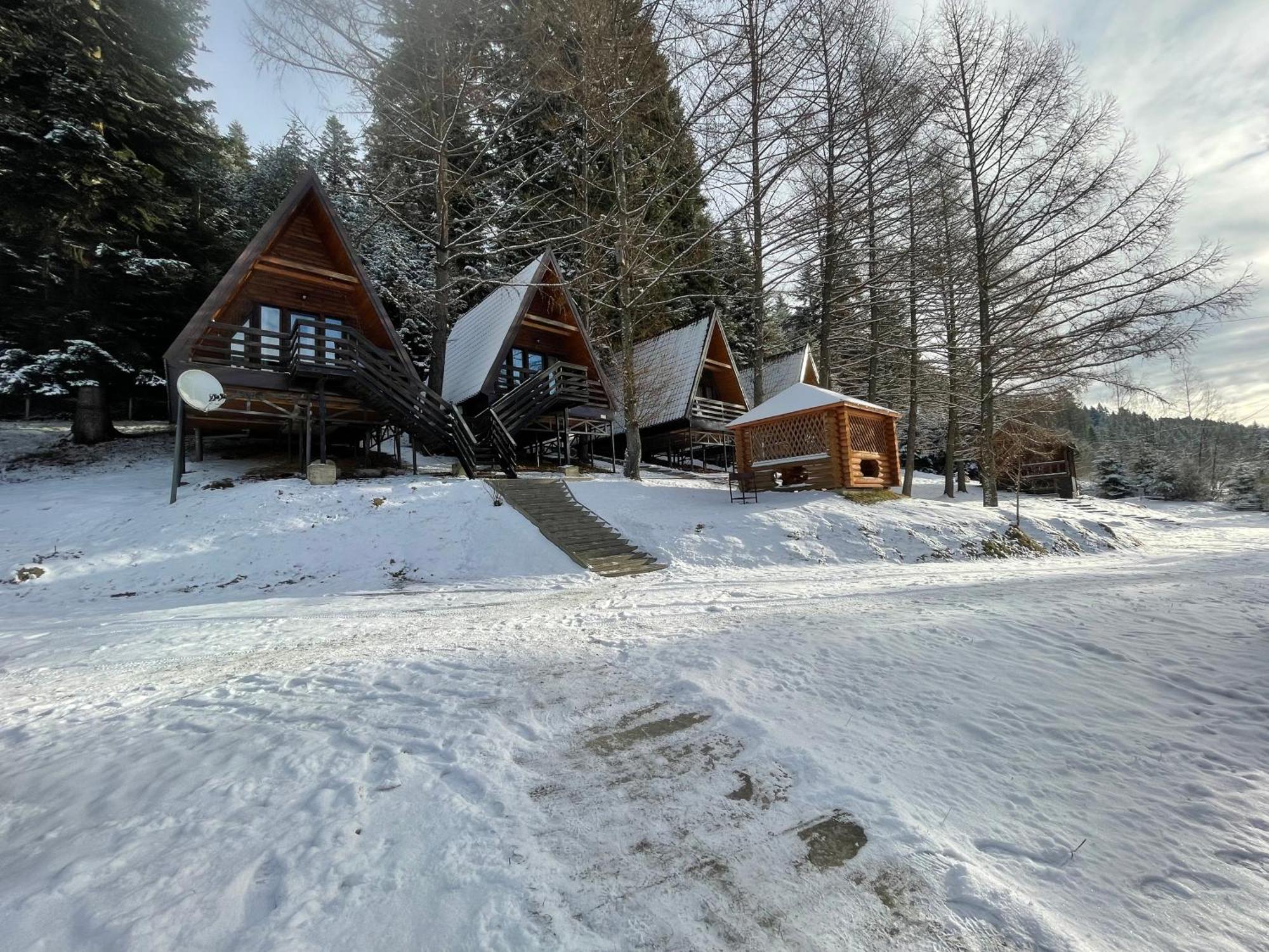 הוילה Rozluch Karpatskyy מראה חיצוני תמונה